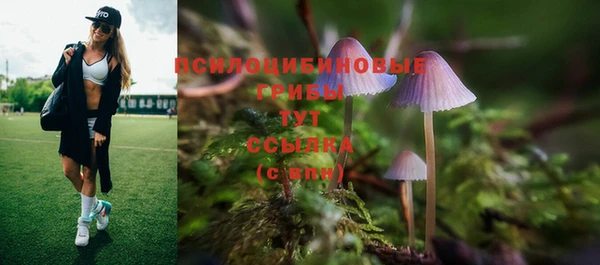 дживик Белокуриха