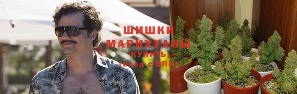 марки nbome Беломорск
