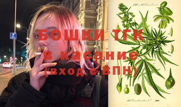 дживик Белокуриха