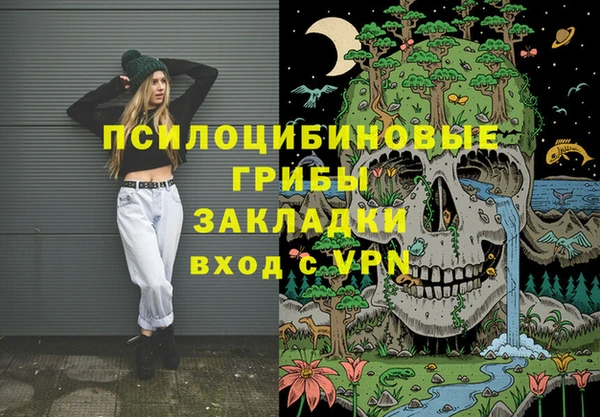 дживик Белокуриха