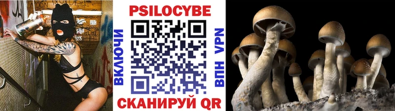 Купить закладки  Кораблино  Псилоцибиновые грибы Magic Shrooms 